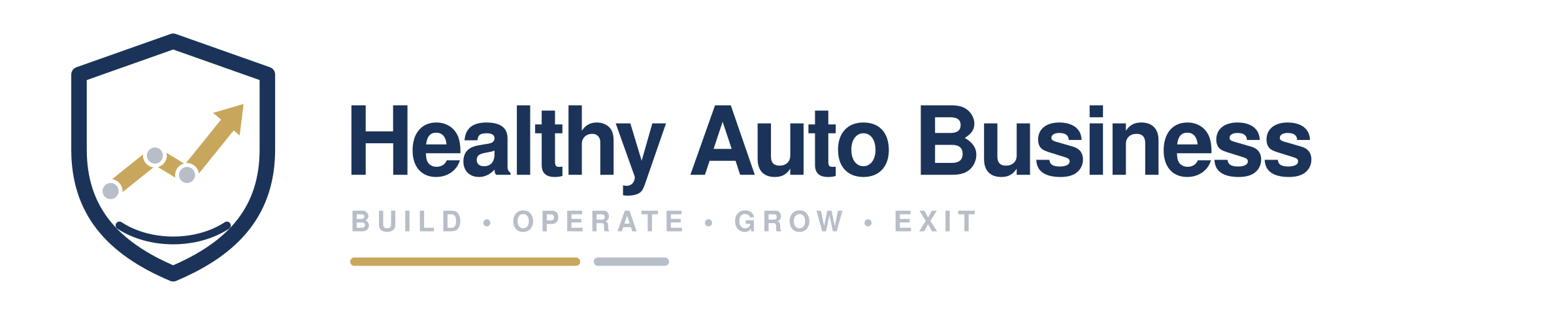 Healthy Auto Business